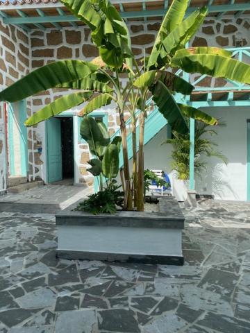 Hacienda De Las Indias, Cali 格拉纳迪利亚-德阿沃纳 外观 照片